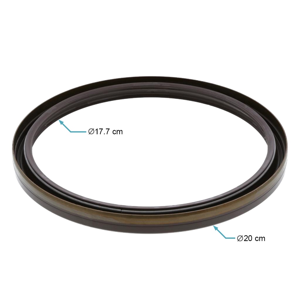 Sello cigueñal trasero (Neoprene) MP8