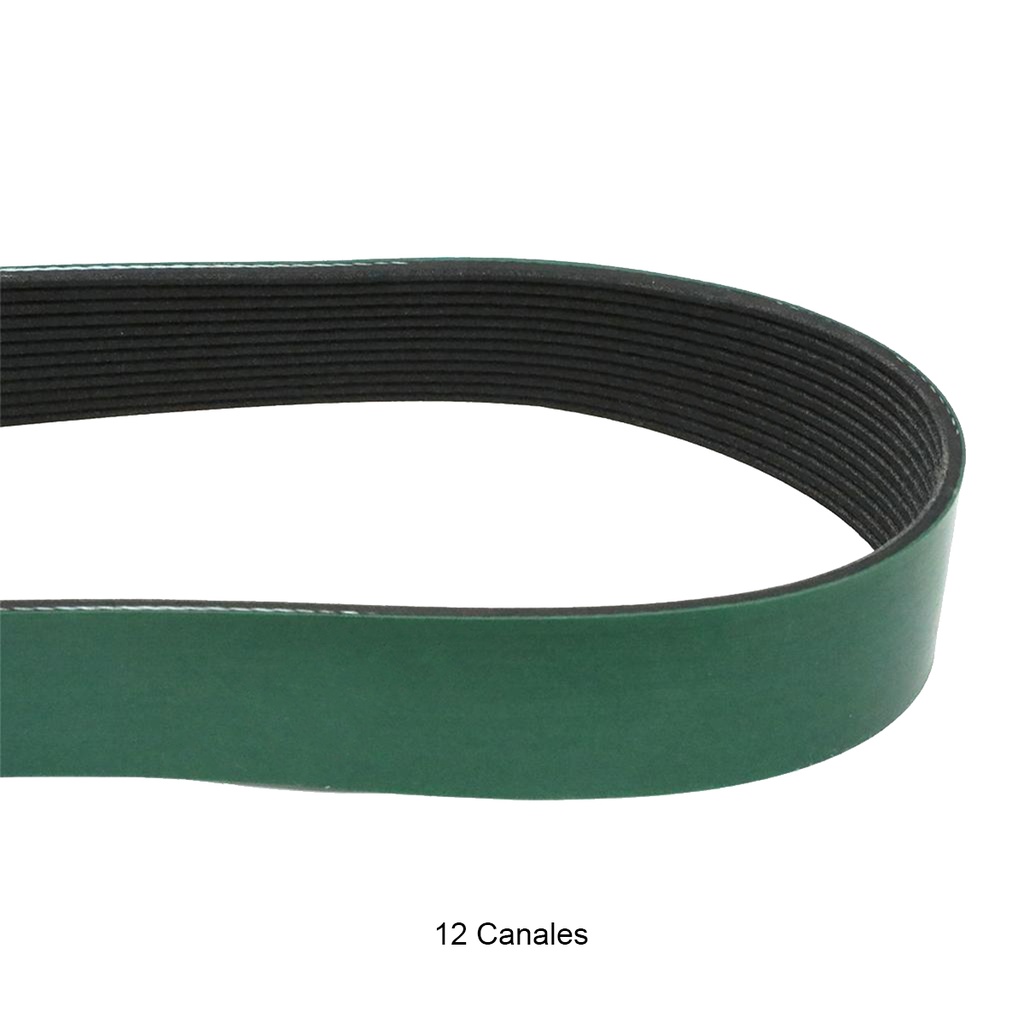 Correa multicanal motor Mp8