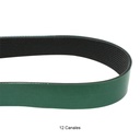 Correa multicanal motor Mp8