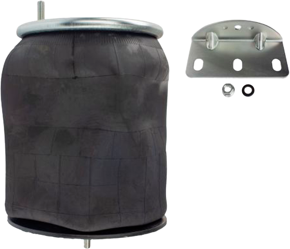 Bolsa Suspension Mack Vision Trasera