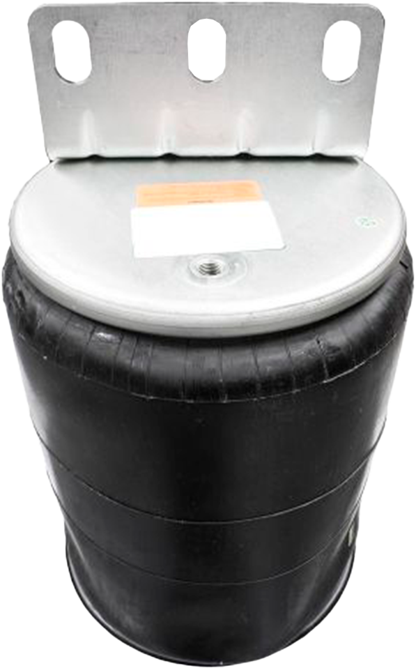 Bolsa Suspension Mack Vision Trasera