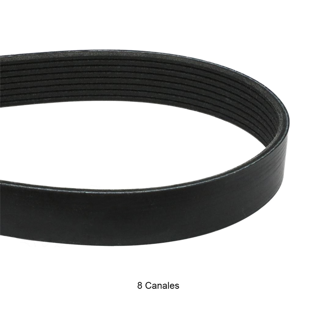 Correa multicanal A/A-alter. MP8 8 canal