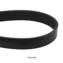 Correa multicanal A/A-alter. MP8 8 canal