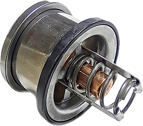 Termostato S60 190 grados 8929878