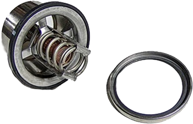 Termostato S60 14Lts 185 grados