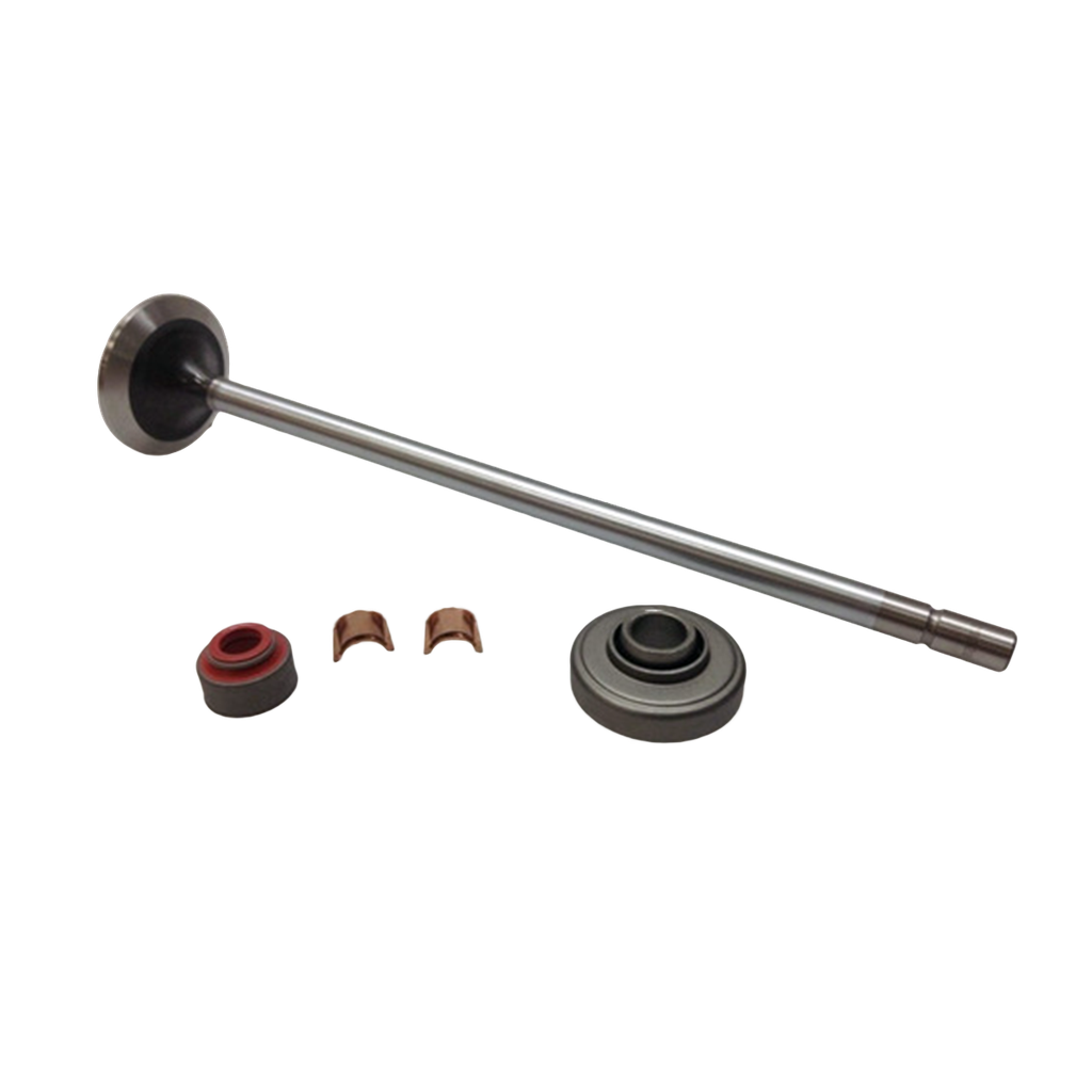 Kit Valvula de admision S60 1 pza 12.7-14L