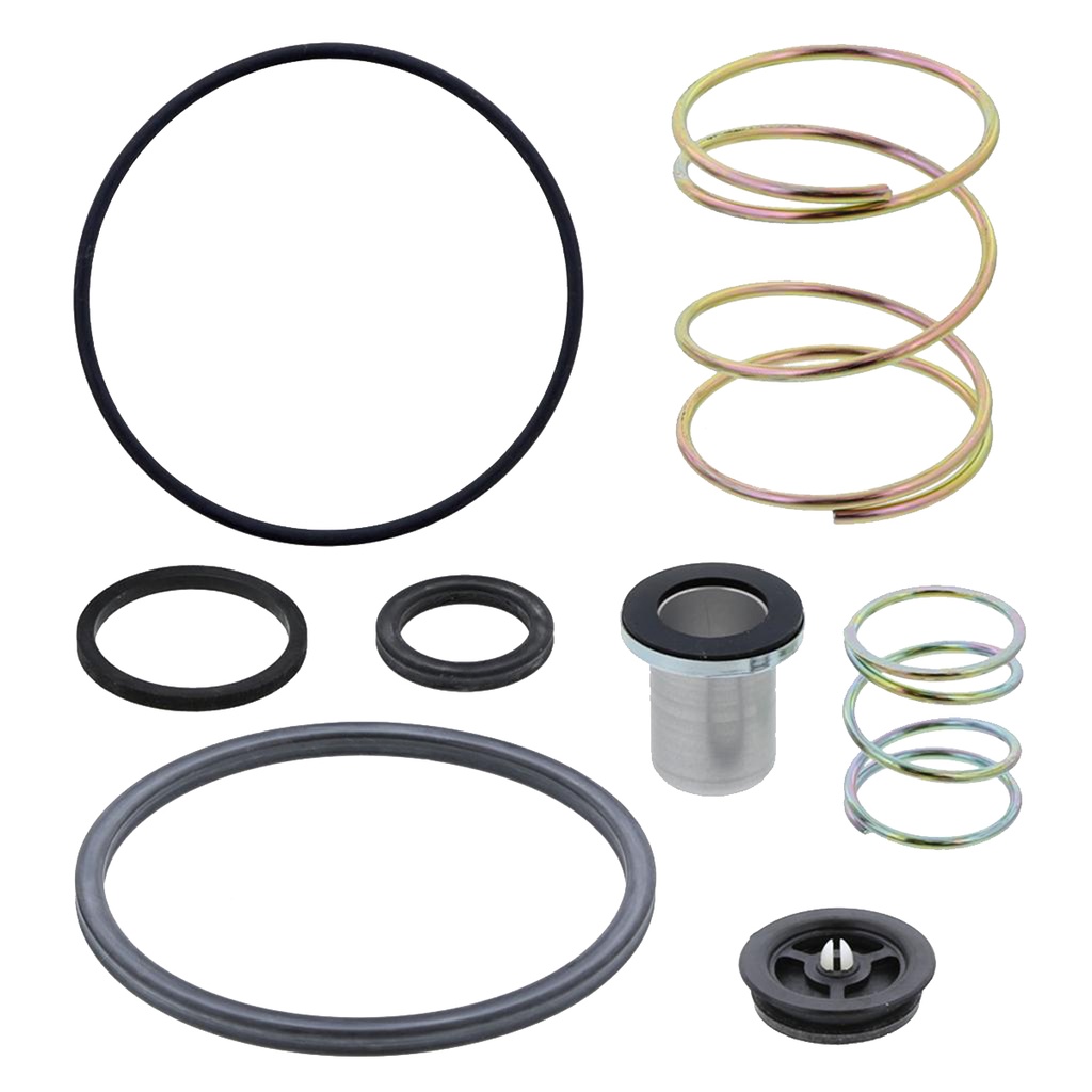 Kit reparacion valvula relay R12