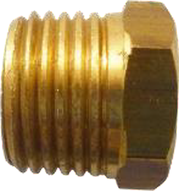 Conex. Bronce Tapon NPT 1/4
