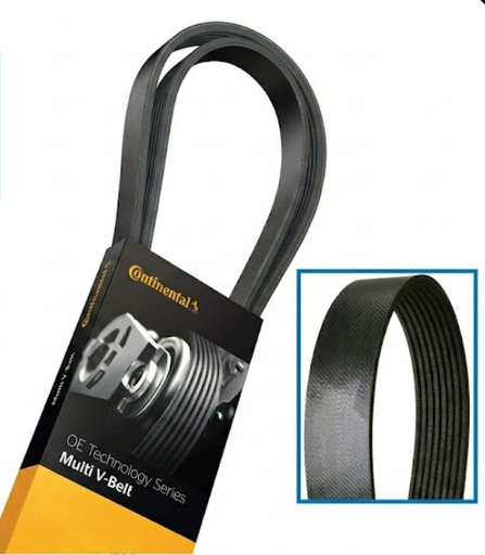 [815.4080570X] Correa Multicanal freightliner CL-120/M2 de 8PK1450 o 73.6" Longitud