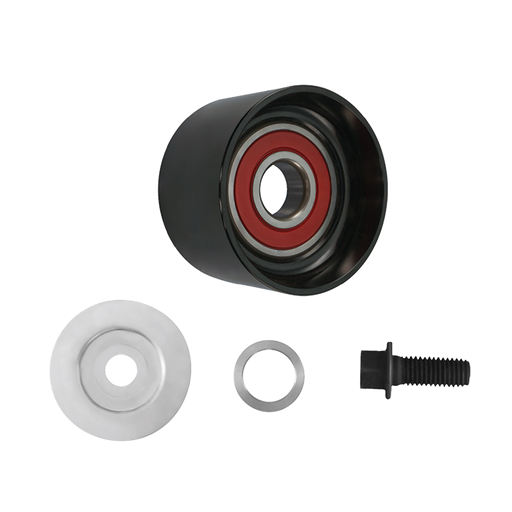 [816.50096] Polea de (Tensor polea lisa) 880897 Motor MP8