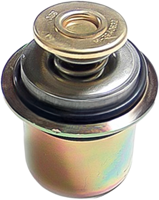 [M-5284903] Termostato 6C 4930594