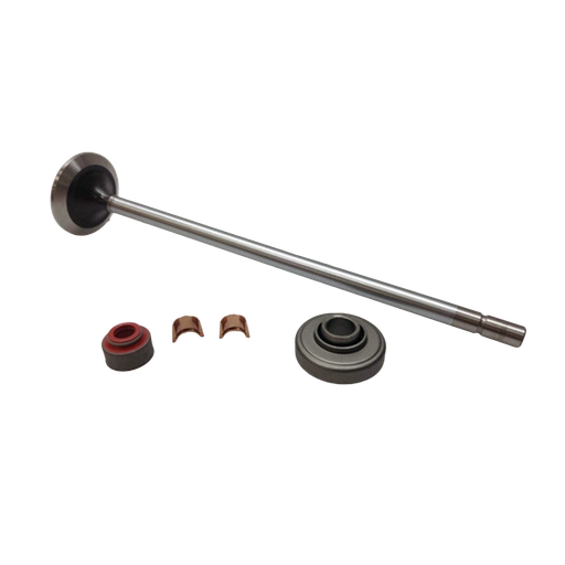 [A-23501576] Kit Valvula de admision S60 1 pza 12.7-14L