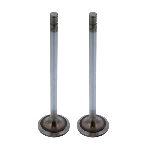 [EM81320] Valvula Admision Mack E6 pulida 2/4 Valvulas